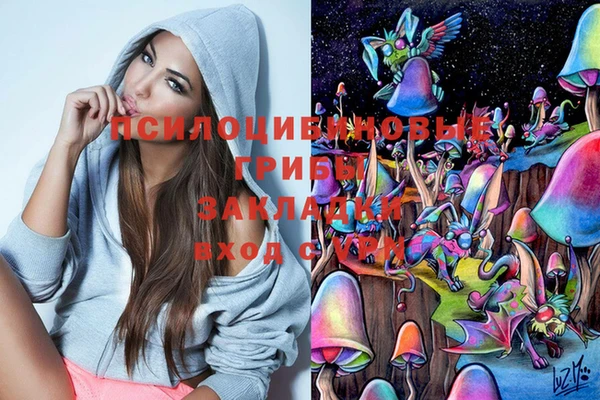 ECSTASY Армянск
