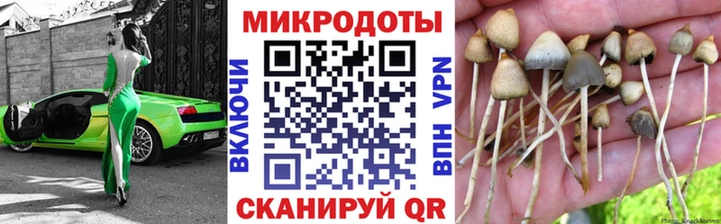 даркнет сайт  Дедовск  ОМГ ОМГ сайт  Галлюциногенные грибы прущие грибы 