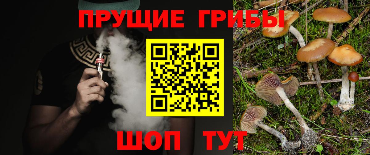 Галлюциногенные грибы MAGIC MUSHROOMS  Вход с VPN  Дедовск  Галлюциногенные грибы прущие грибы 